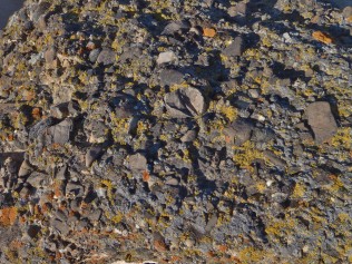 Conglomerate Boulders
